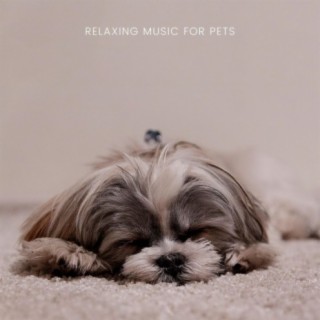 Relaxing Music For Pets