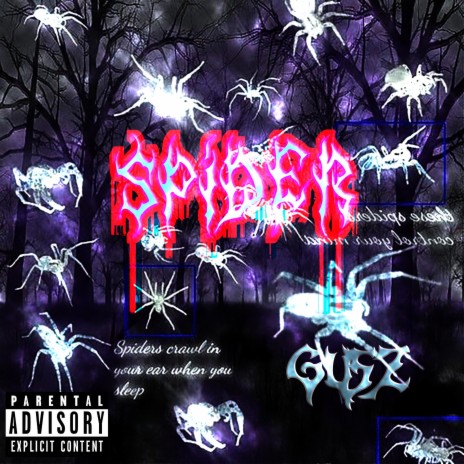 Spider | Boomplay Music