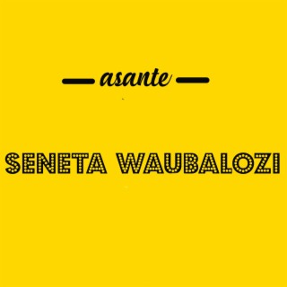 Seneta Waubalozi