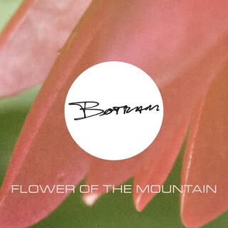 Flower of the Mountain