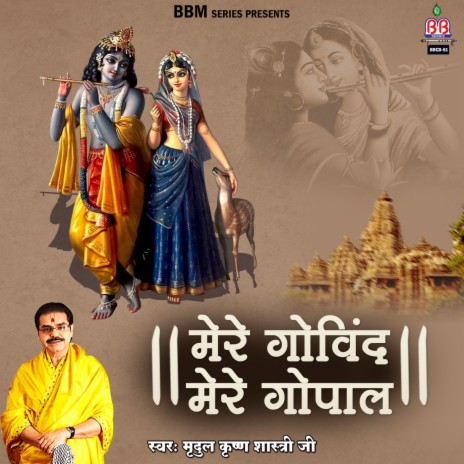 Hey Banke Bihari Girdhari | Boomplay Music