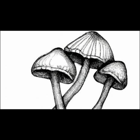 Fungi of Trip | Boomplay Music