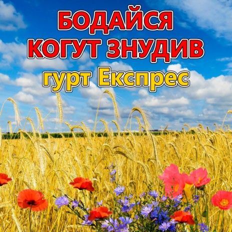 Бодайся когут знудив | Boomplay Music