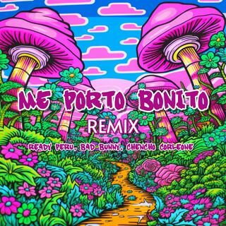 Me Porto Bonito (Remix) lyrics | Boomplay Music