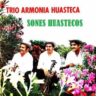 Trío armonía huasteca