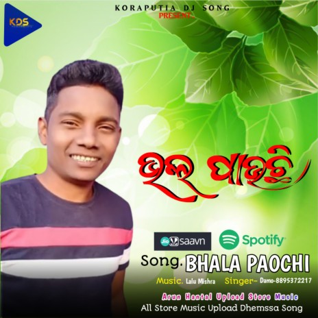 Bhala Paochi Koraputia (Koraputia Dhemssa Song) | Boomplay Music