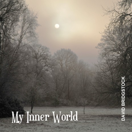 My Inner World