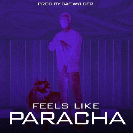 feel like paracha | Boomplay Music