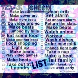 T.O.A.S. Check List