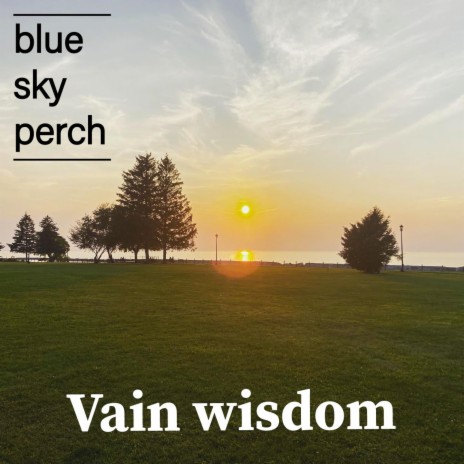 vain wisdom WK-14 | Boomplay Music