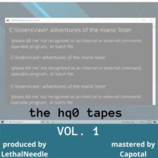 the hq0 tapes vol. 1: adventures of the manic loser