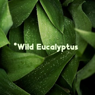 Wild Eucalyptus: Relaxing Home Spa, Beauty Treatments, Time Only for You