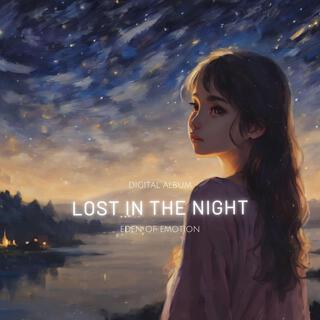 Lost in the Night