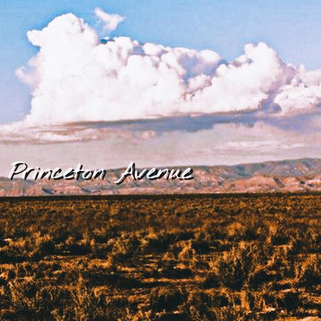 Princeton Avenue | Boomplay Music