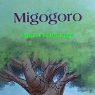 Migogoro