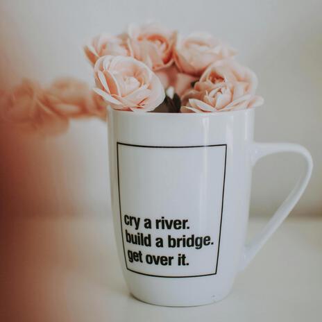 Cry A River. Build A Bridge. Get Over It. | Boomplay Music