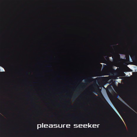 Pleasure Seeker (Edit) | Boomplay Music
