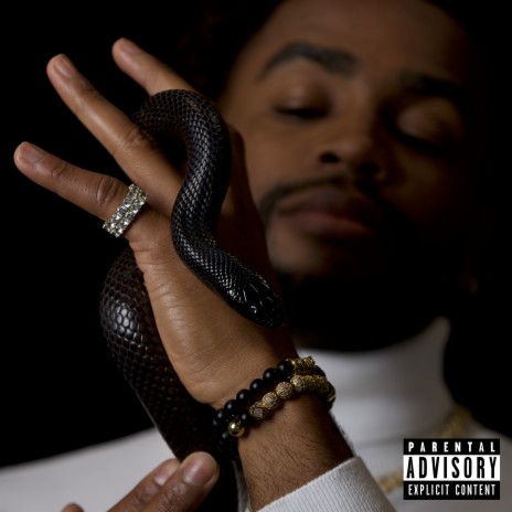 SNAKESKINS | Boomplay Music