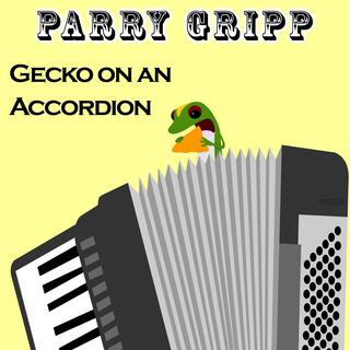 Gecko On An Accordion