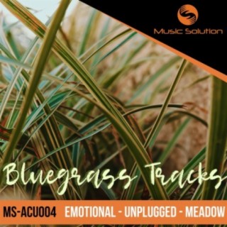 Bluegrass Tracks