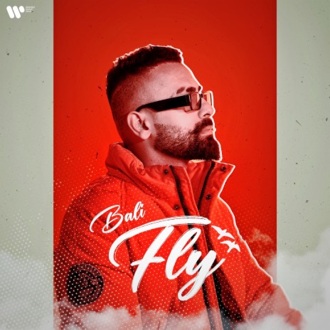 Fly | Boomplay Music