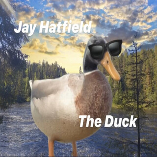 The Duck