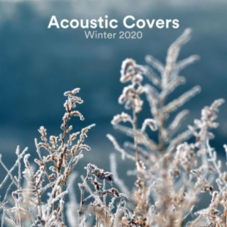 Acoustic Covers Winter 2020