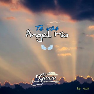 Te Vas Ángel Mio (En vivo)