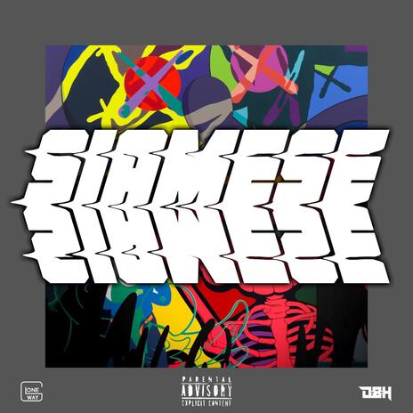 Siamese | Boomplay Music