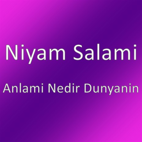 Anlami Nedir Dunyanin | Boomplay Music