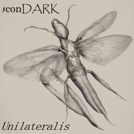 Unilateralis | Boomplay Music