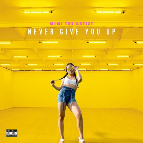 Never Give You Up | Boomplay Music