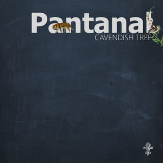 Pantanal