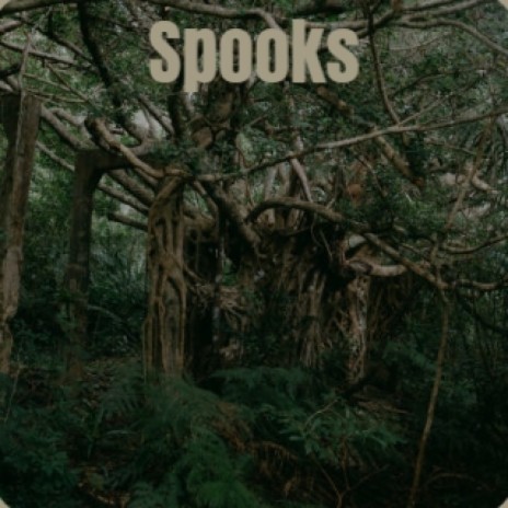 Spooks | Boomplay Music