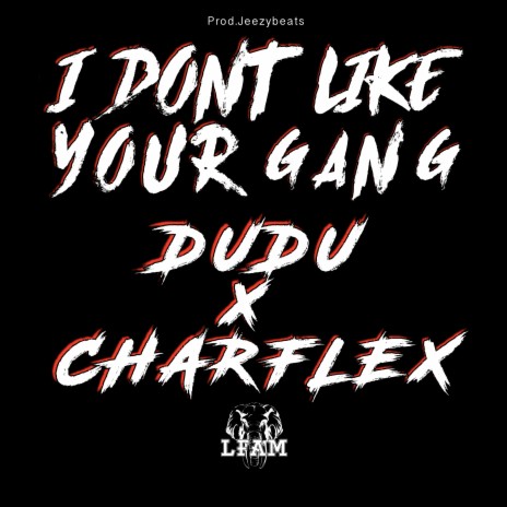 I Don't Like Your Gang ft. Dudu & Charflex | Boomplay Music