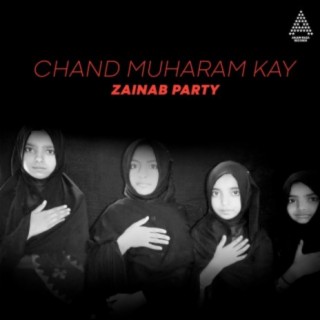 Zainab Party
