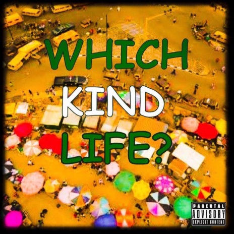 Which Kind Life (feat. Qookes) | Boomplay Music