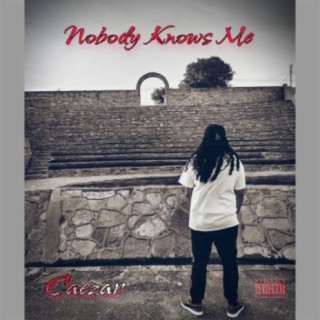 Nobody Knows Me