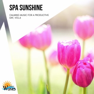 Spa Sunshine - Calming Music for a Productive Day, Vol.6