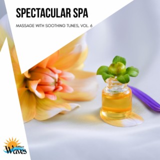 Spectacular Spa - Massage with Soothing Tunes, Vol. 6