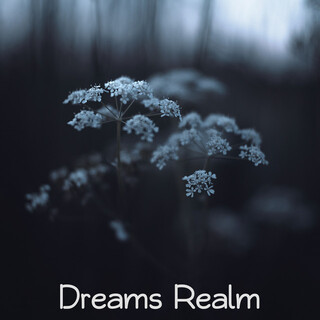 Dreams Realm