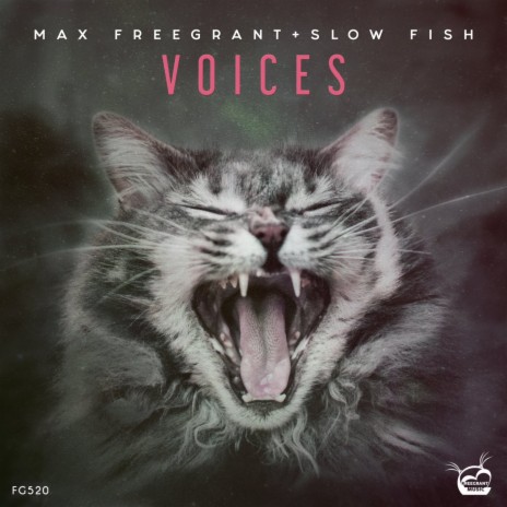 Voices (Extended Mix) ft. Slow Fish