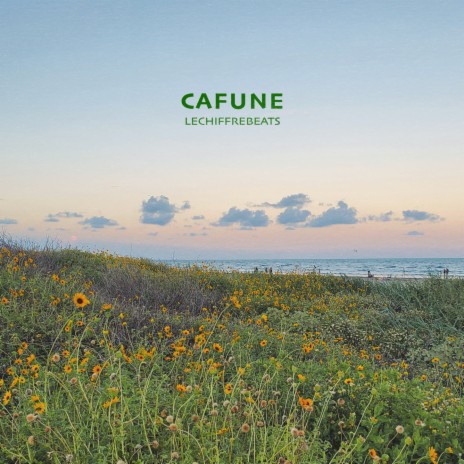 Cafune | Boomplay Music