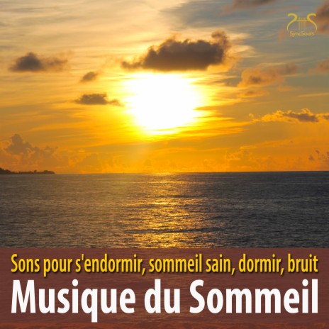 Musique du sommeil profond, des sons pour un sommeil sain, partie 6 ft. Torsten Abrolat & SyncSouls | Boomplay Music