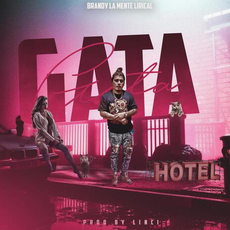 Gata | Boomplay Music