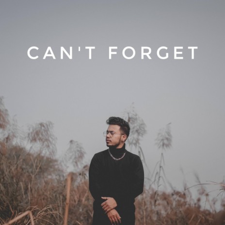 Can't Forget | Boomplay Music