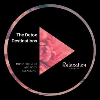 The Detox Destinations - Music for Mind and Body Cleansing