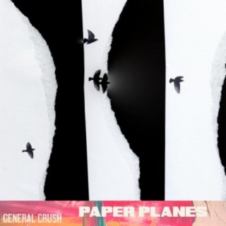 Paper Planes