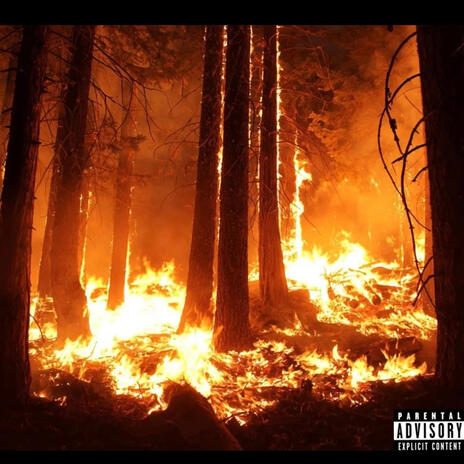 Wildfire | Boomplay Music