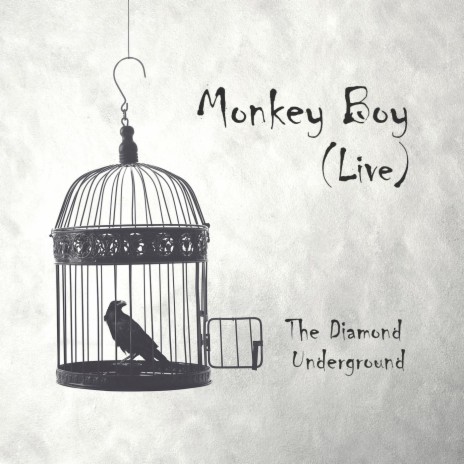 Monkey Boy (Live) | Boomplay Music